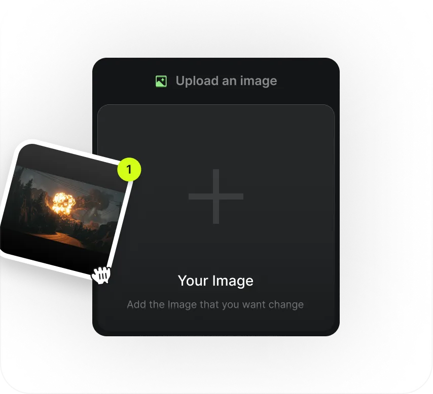 Input Image Reference